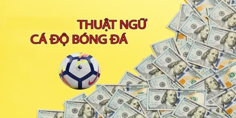 Những thuật ngữ quan trọng để nắm rõ cách đọc kèo bóng đá