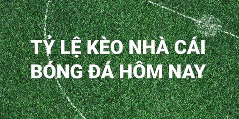 Cá cược dựa vào tỷ lệ kèo bóng đá hôm nay